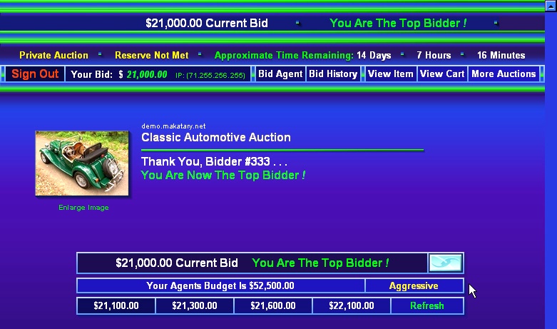 Auction Software 